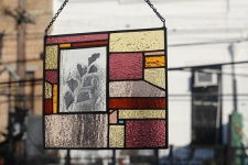 Stained Glass with Maidenhair Fern / Main Image